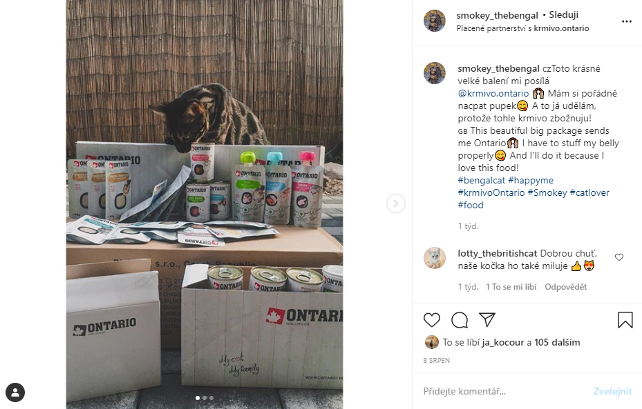 Influencer smokey_thebengal